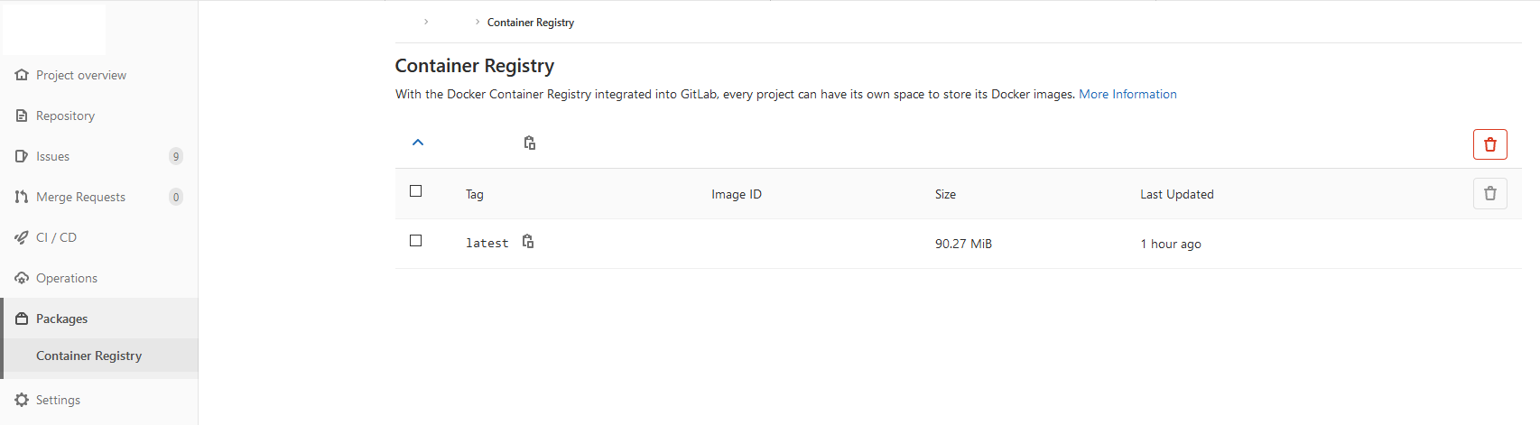Gitlab Container Registry İmaj Yüklenmiş Görüntüsü